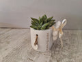 Un'idea bomboniera originale, moderna ed ecologica, perfetta per festeggiare Matrimoni, Comunioni, Cresime, Battesimi o Compleanni. La composizione comprende:
Vasetto in Ceramica: Decorato con frasi ispirazionali ("Pura Felicità", "Piccole Gioie") e un d