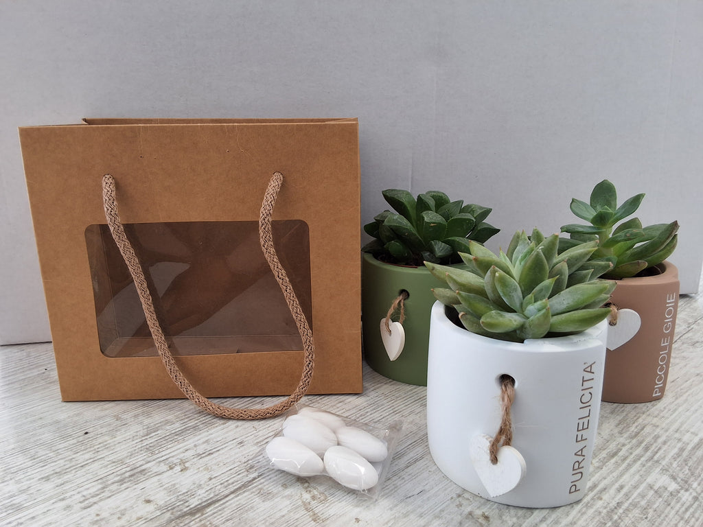 Bomboniera Piantina Succulenta in Vaso in Ceramica con Scritta, Sacchetto Confetti e Shopper