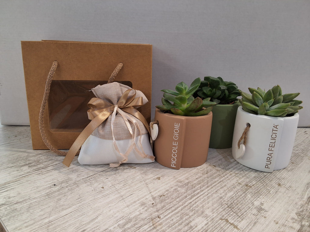 Bomboniera Piantina Succulenta in Vaso in Ceramica con Scritta, Sacchetto in Stoffa con Confetti e Shopper