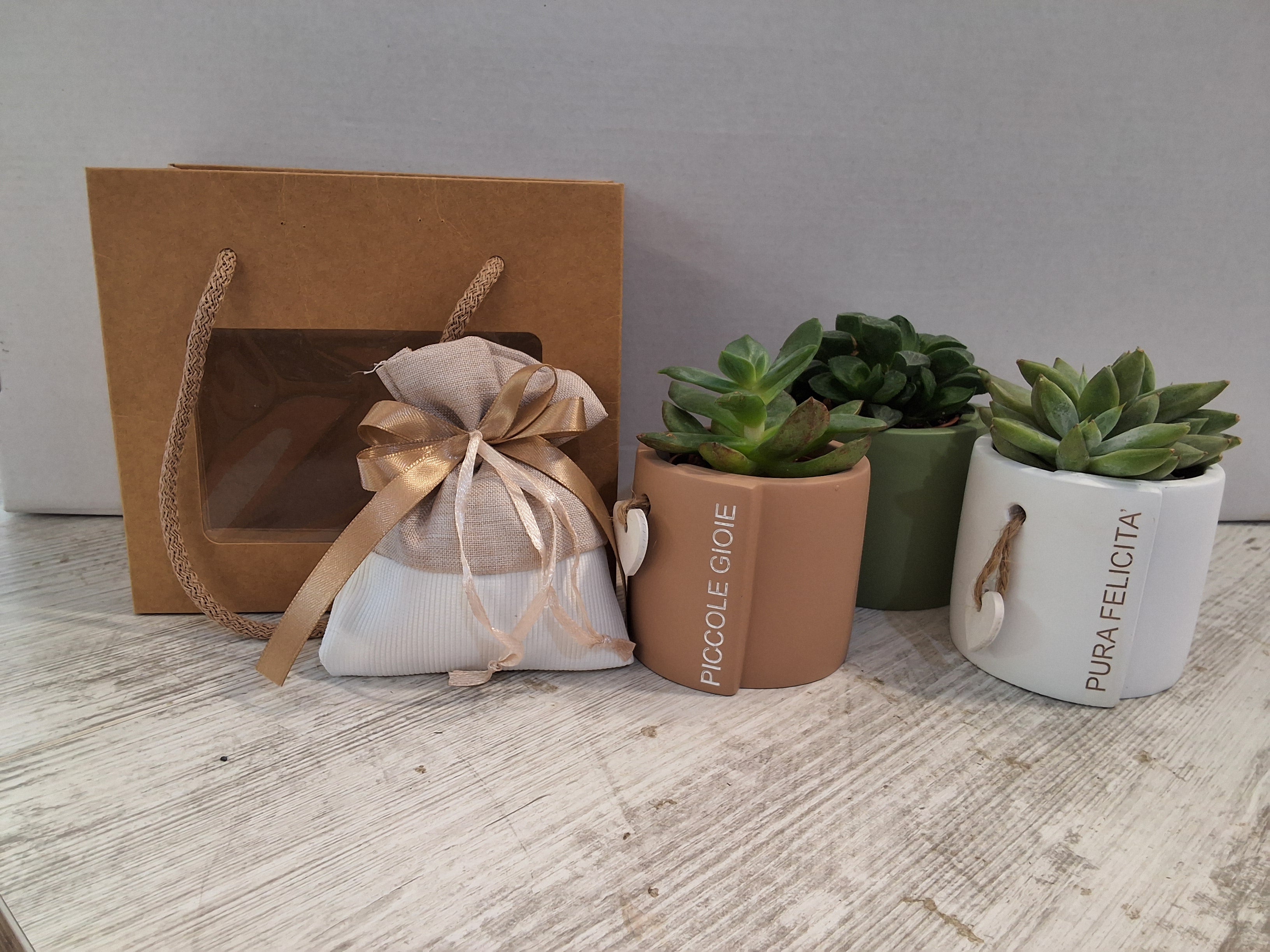Bomboniera Piantina Succulenta in Vaso in Ceramica con Scritta, Sacchetto in Stoffa con Confetti e Shopper