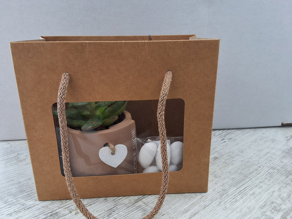 Bomboniera Piantina Succulenta in Vaso in Ceramica con Scritta, Sacchetto Confetti e Shopper