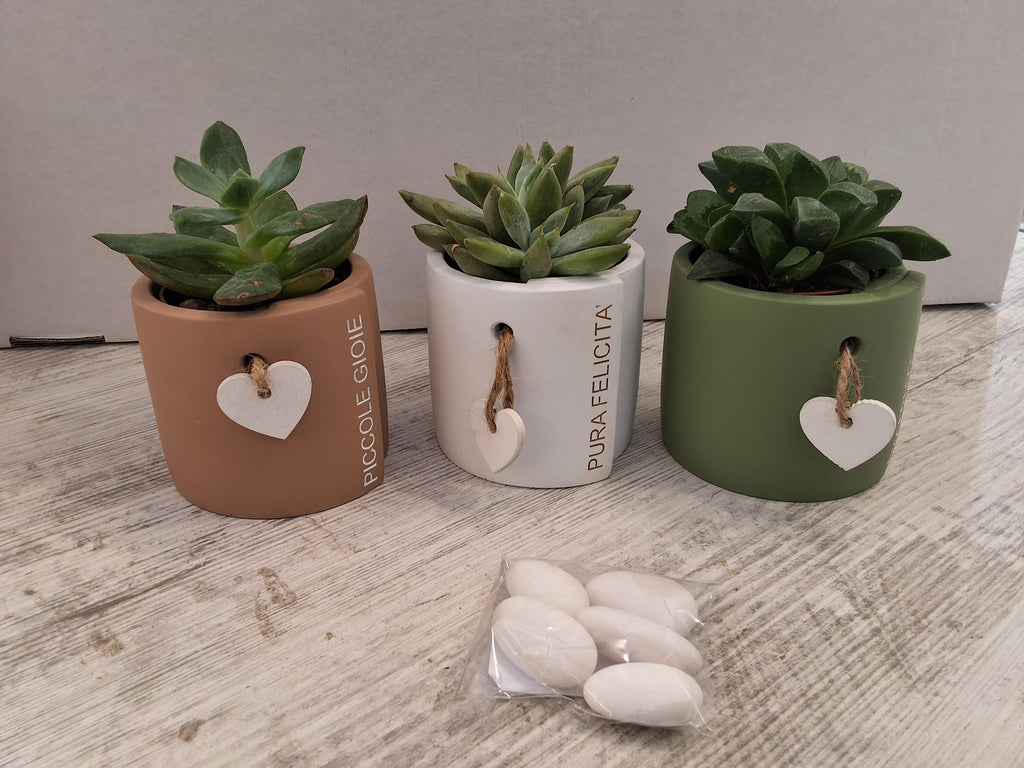 Un'idea bomboniera originale, moderna ed ecologica, perfetta per festeggiare Matrimoni, Comunioni, Cresime, Battesimi o Compleanni. La composizione comprende:
Vasetto in Ceramica: Decorato con frasi ispirazionali ("Pura Felicità", "Piccole Gioie") e un d